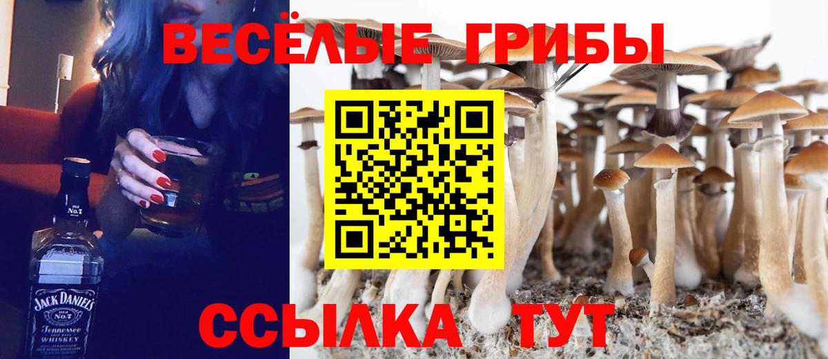 Псилоцибиновые грибы Cubensis  Псилоцибиновые грибы прущие грибы  Вход с VPN  магазин продажи   Лосино-Петровский 