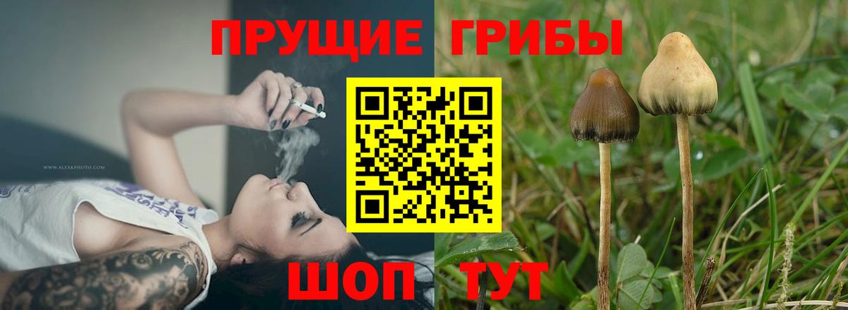 Псилоцибиновые грибы мухоморы Лосино-Петровский